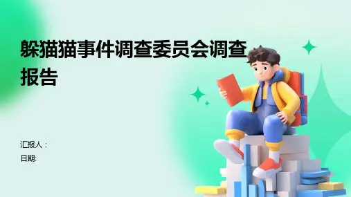 躲猫猫事件调查委员会调查报告