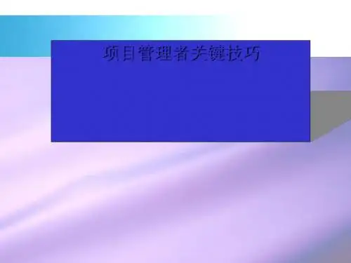 项目管理者关键技巧概述(PPT 43张)