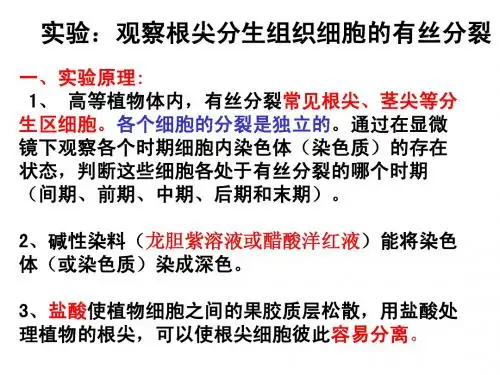 实验：观察根尖分生组织细胞的有丝分裂