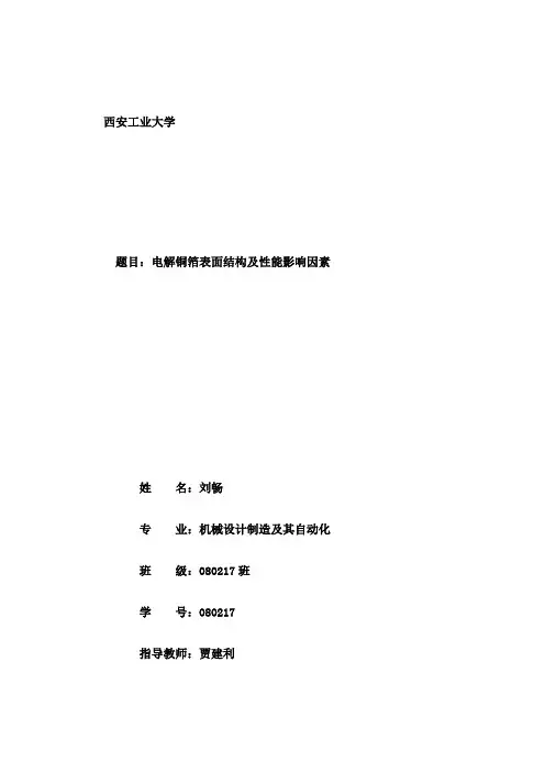 电解铜箔表面结构及性能影响因素