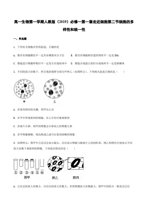 高一生物第一学期人教版(2019)必修一第一章走近细胞第二节细胞的多样性和统一性课后习题