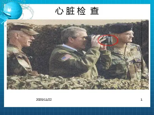 《心脏检查》PPT课件