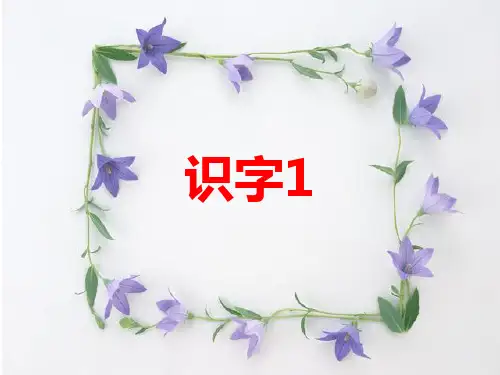 一年级语文下册识字1PPT课件