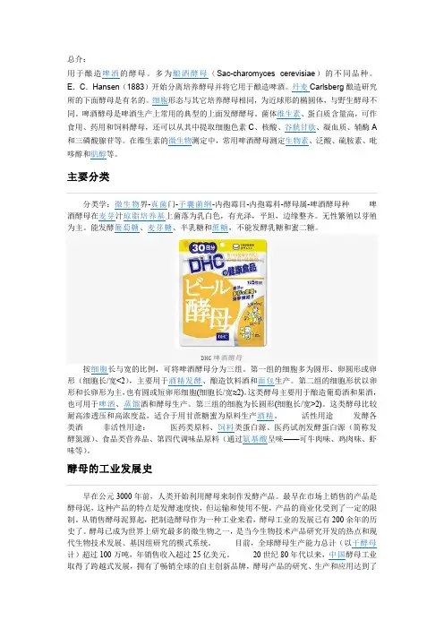 啤酒酵母
