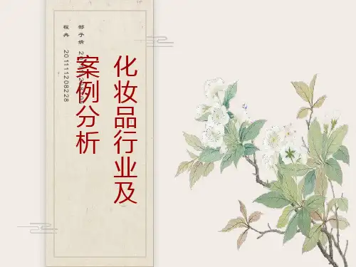 化妆品行业及案例分析