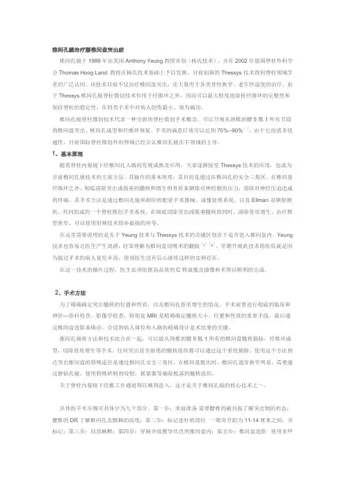 椎间孔镜