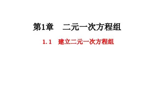 1.1建立二元一次方程组课件数学湘教版七年级下册