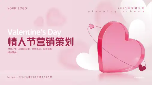 情人节营销策划活动方案通用PPT模板(完美版)