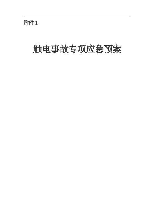 触电事故专项应急预案 2