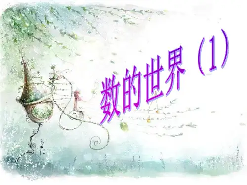 新版苏教版六年级数学上册《数的世界(1)》期末总复习课件