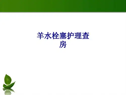 医学羊水栓塞护理查房专题PPT培训课件