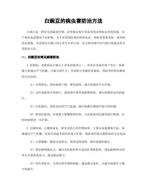 白豌豆的病虫害防治方法