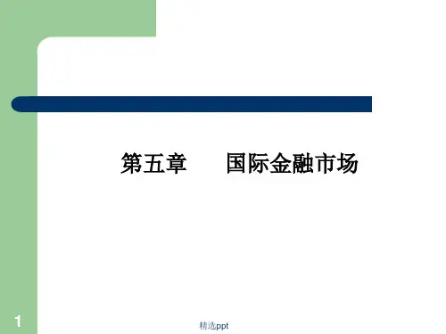 国际金融学第五章  国际金融市场