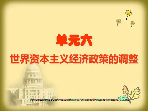 世界资本主义经济政策的调整(正)总结