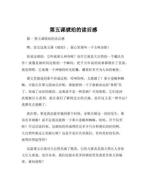 第五课琥珀的读后感