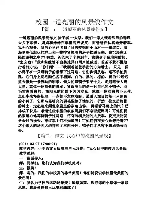 学校作文之校园一道亮丽的风景线作文
