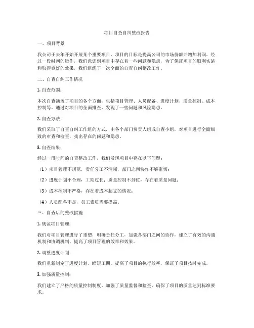 项目自查自纠整改报告