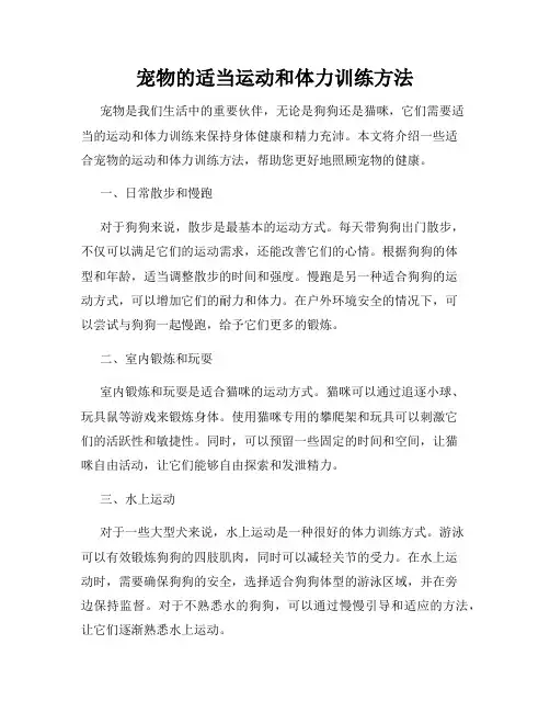 宠物的适当运动和体力训练方法