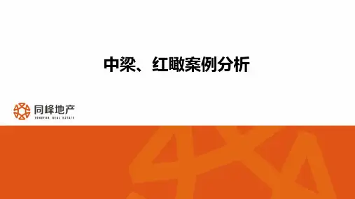 中梁、蓝光案例分析