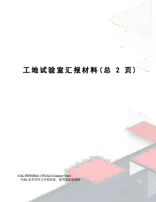 工地试验室汇报材料