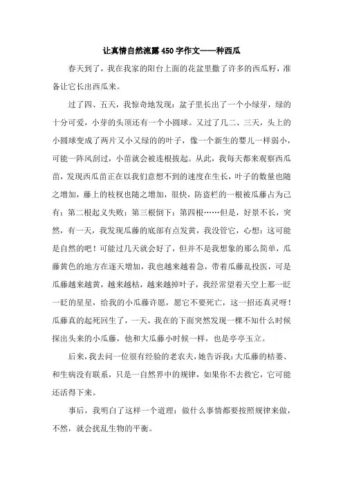让真情自然流露450字作文——种西瓜