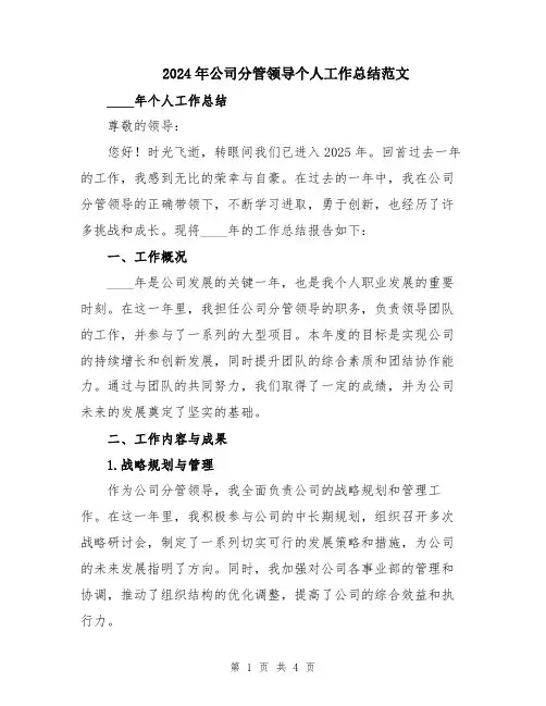 2024年公司分管领导个人工作总结范文