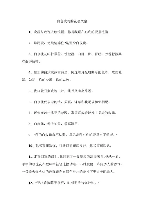 白色玫瑰的花语文案