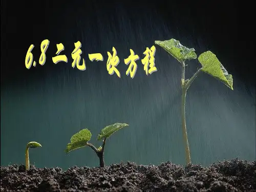 沪教版(上海)数学六年级第二学期6.8二元一次方程 (共16张PPT)