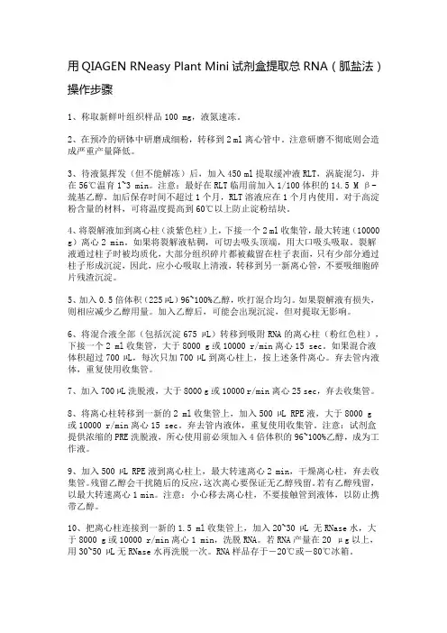 QIAGEN RNeasy Plant Mini试剂盒提取总RNA