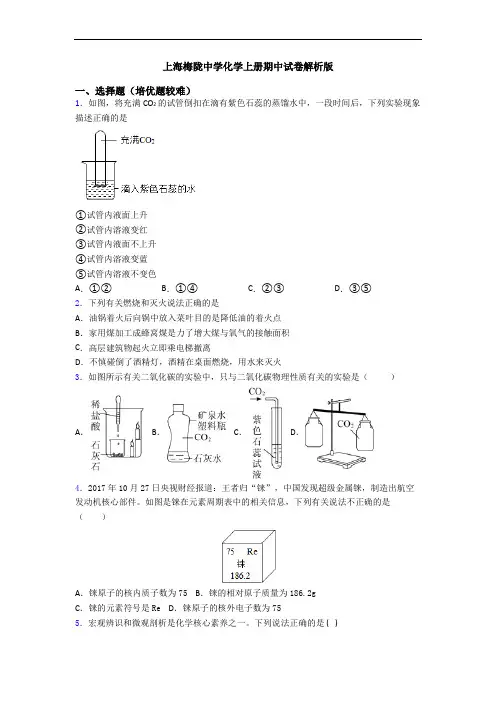 上海梅陇中学初三化学上册期中试卷解析版