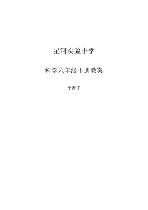 科学 第八册 备课教案