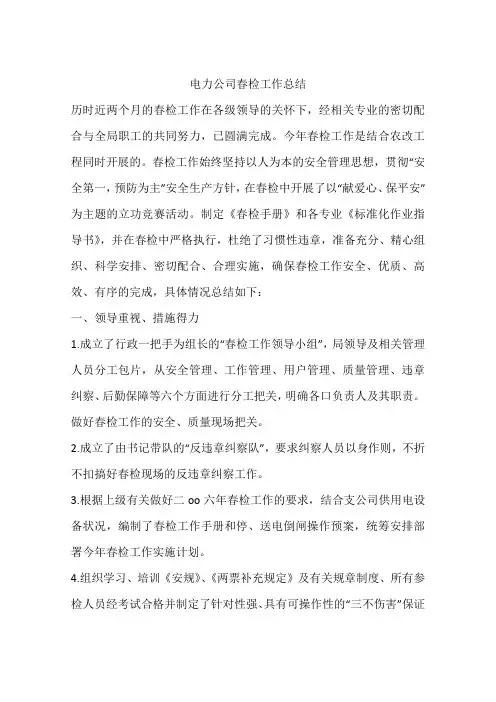电力公司春检工作总结