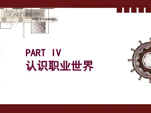 认识职业世界