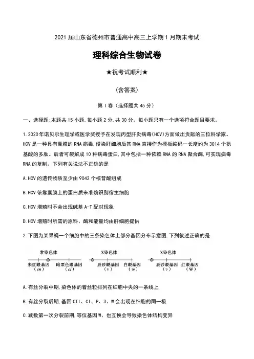 2021届山东省德州市普通高中高三上学期1月期末考试理科综合生物试卷及答案