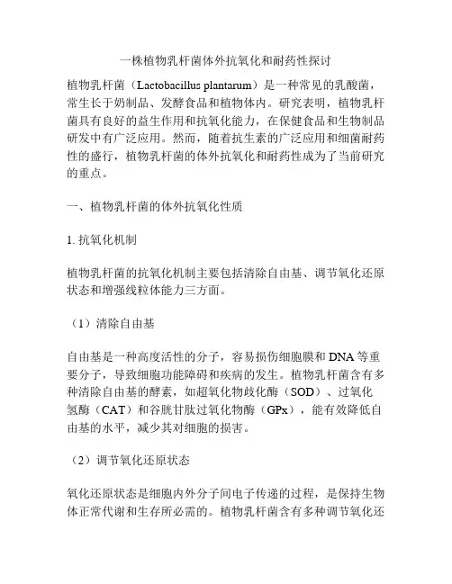 一株植物乳杆菌体外抗氧化和耐药性探讨