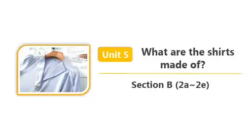  人教版九年级英语 Unit 5 Section B (2a~2e) 精品课件