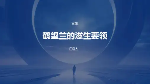 鹤望兰的滋生要领