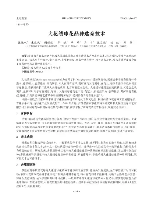 大花绣球花品种选育技术