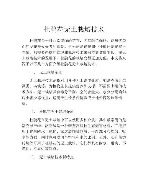杜鹃花无土栽培技术
