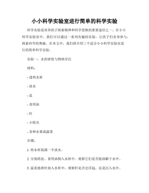 小小科学实验室进行简单的科学实验