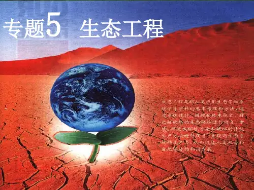 人教版高中生物选修3专题五 生态工程的实例和发展前景(课件 共44张PPT)
