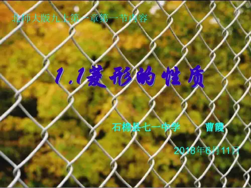 北师大九年级上册第一章特殊平行四边形1.1菱形性质与判定之菱形的性质(共24张PPT)