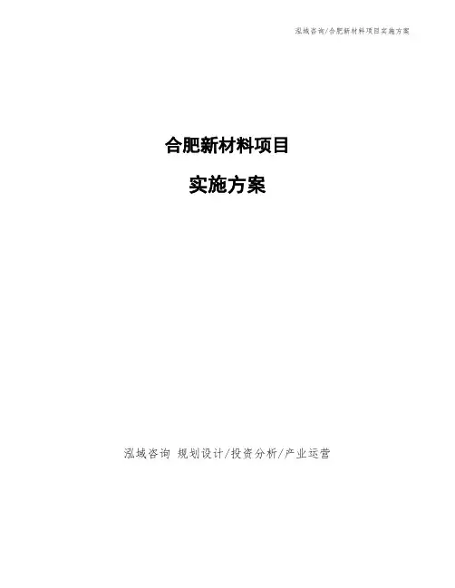 合肥新材料项目实施方案