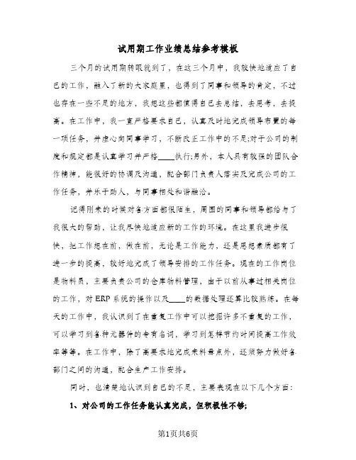 试用期工作业绩总结参考模板（3篇）