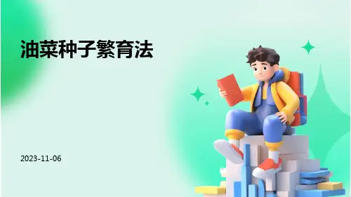 油菜种子繁育法