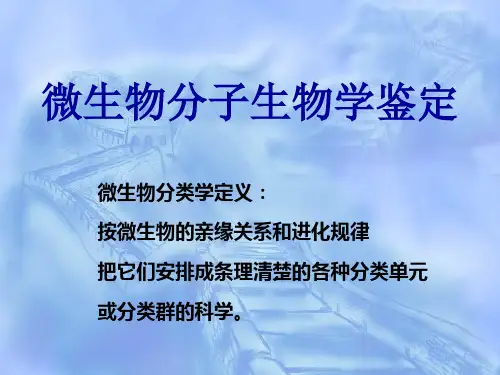 分子生物学方法鉴定微生物