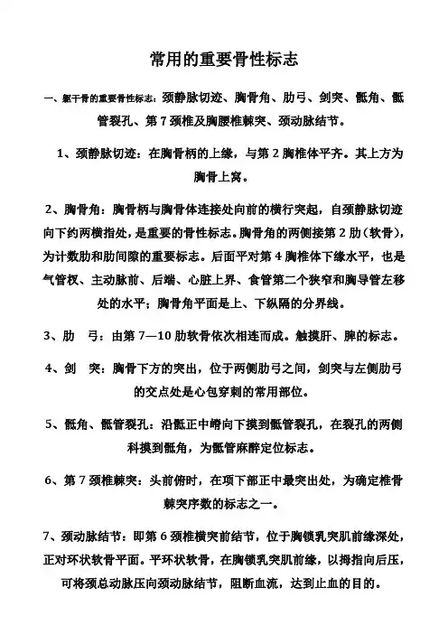常用重要骨性标志