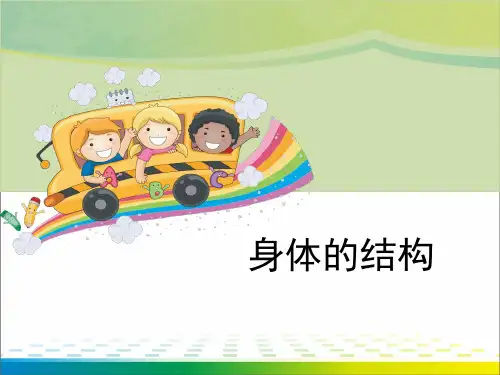 《身体的结构》我们的身体PPT【完美版课件】