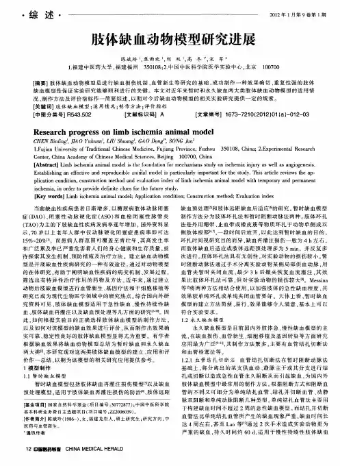 肢体缺血动物模型研究进展
