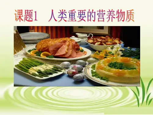 人类重要的营养物质PPT课件(25)